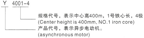 西安泰富西玛Y系列(H355-1000)高压JR126-6三相异步电机型号说明